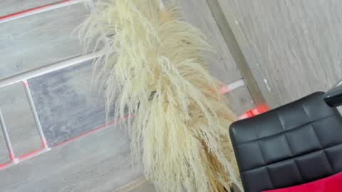 Snapshot of tiff_valentine chatting on 02.05.25 Tiffany online show from 02.05.25