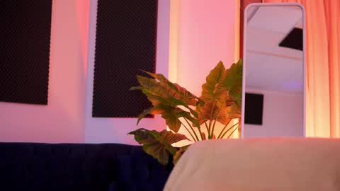 Tiff online show from 02.23.26