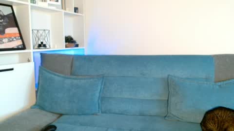 tiff online show from 04.16.26