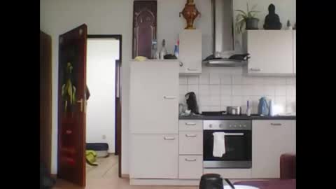 tigertrance online show from 03.11.25