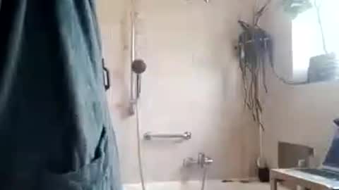 tigertrance online show from 11.11.25