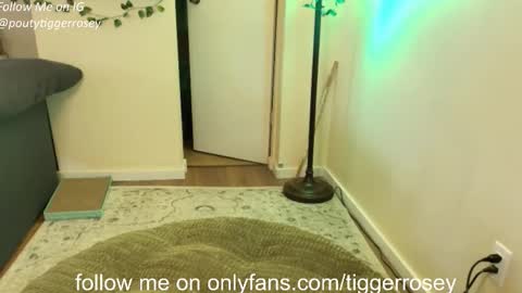   All my Links online show from 04.21.26