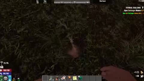 TimLooking online show from 02.15.25