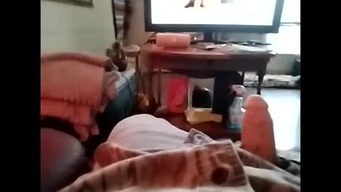 tjllagwbggrr online show from 01.05.26