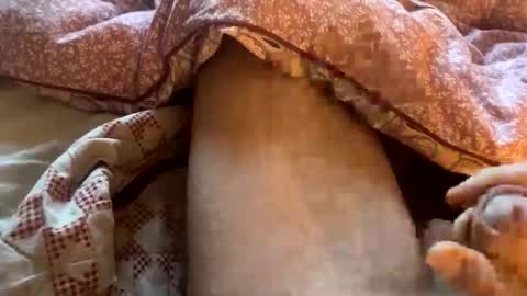 tliverth online show from 11.28.25