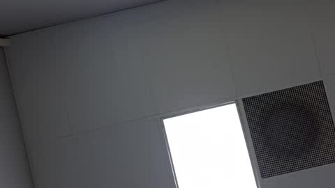 Vols online show from 02.08.25