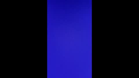 Vols online show from 02.24.25