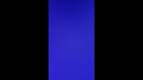 Vols online show from 02.28.25