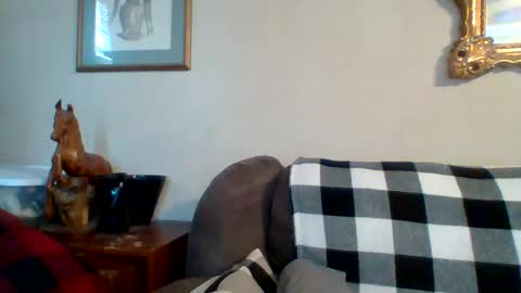 Vols online show from 03.02.25