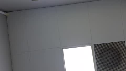 Vols online show from 03.07.25