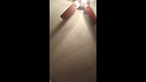 Snapshot of tnvols1968 chatting on 02.03.26 Vols online show from 02.03.26