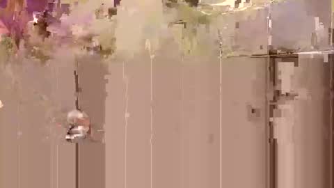 Toby Obeys online show from 10.27.25