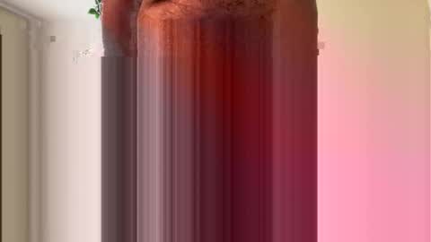 toddmacg online show from 11.23.25