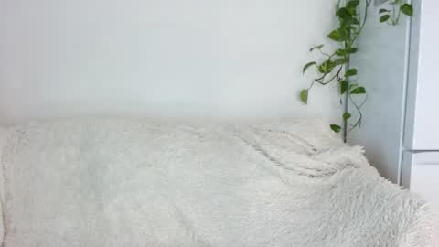 Snapshot of tokens_are_sexy chatting on 02.25.26 tokens_are_sexy online show from 02.25.26