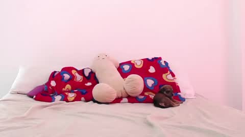 Snapshot of tokihoney chatting on 12.02.24 Adela y juan online show from 12.02.24