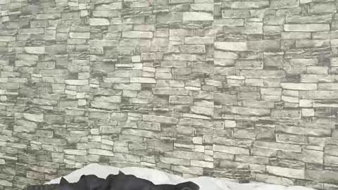 Tokyo online show from 01.05.26