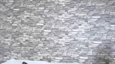 Tokyo online show from 02.02.26