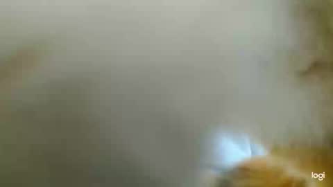 Blue online show from 02.24.25