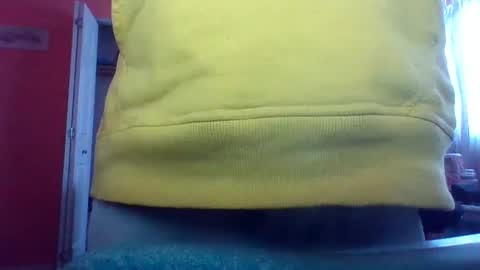 tomcat4848 online show from 02.15.25