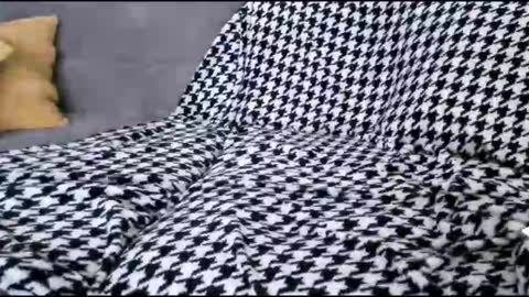 Bima online show from 10.17.25