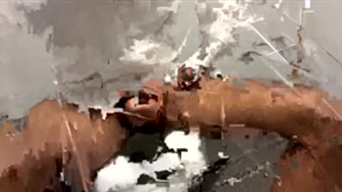 Snapshot of tommy55500 chatting on 11.24.25 Dr. Dick online show from 11.24.25