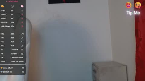 TONI BELMONT online show from 01.28.25