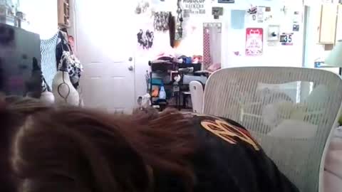 Tonka Wilde online show from 02.19.26