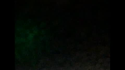 tonyd online show from 01.04.25