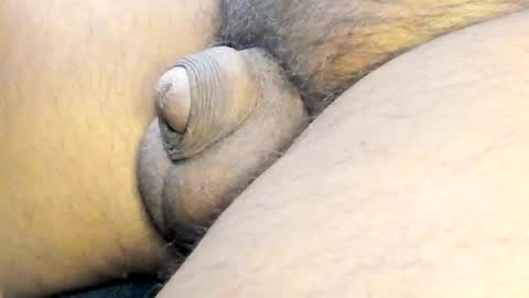 tonyisback2023 online show from 03.02.25