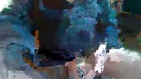 Topcat127 online show from 03.01.25