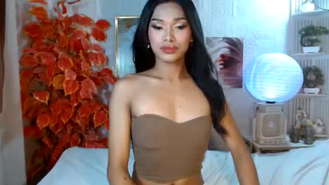 toptrans venice online show from 04.11.26