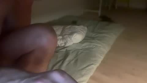 tordep online show from 11.14.25