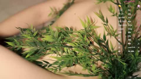 Toshi online show from 02.08.26