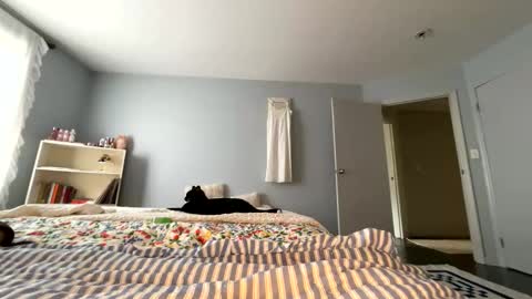 Snapshot of transgirl007 chatting on 05.30.26 transgirl007 online show from 05.30.26