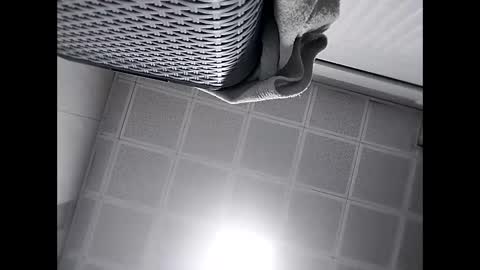 Snapshot of trapper727272 chatting on 02.24.25 Big Head Cock online show from 02.24.25