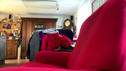 Snapshot of trebgeis1 chatting on 02.18.25 trebgeis1 online show from 02.18.25