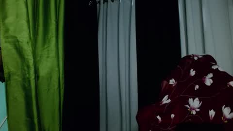 Snapshot of trebz_01 chatting on 01.17.26 trebz_01 online show from 01.17.26