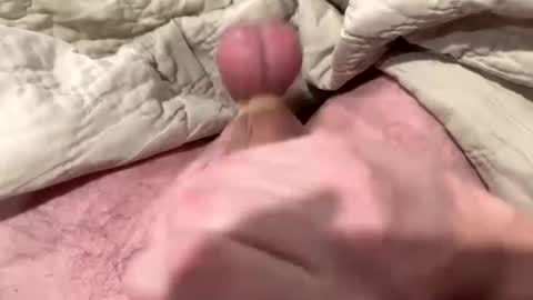 tree553 online show from 01.13.25