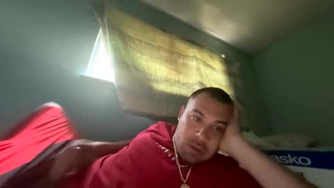 trees559 online show from 04.19.26