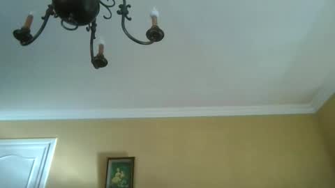 trekbeestje online show from 04.08.26