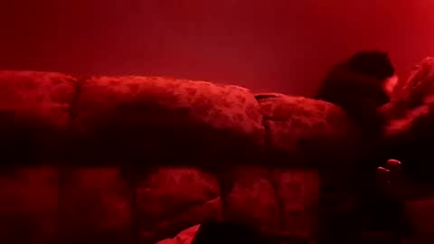 Snapshot of tretrix5588 chatting on 01.03.25 tretrix5588 online show from 01.03.25