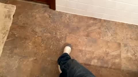 Snapshot of trevgrad08 chatting on 12.08.24 Mystic allusion online show from 12.08.24