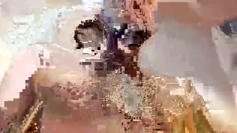 trex23rd online show from 12.02.25