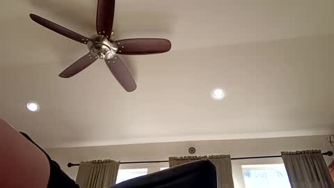 Snapshot of trillnonymau5 chatting on 12.21.24 trillnonymau5 online show from 12.21.24