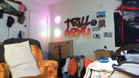 Snapshot of trillnonymau5 chatting on 01.13.25 trillnonymau5 online show from 01.13.25