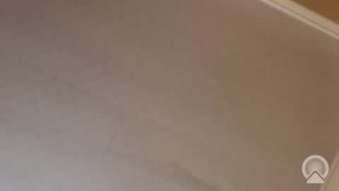 Snapshot of trinislim1868 chatting on 11.13.25 Antique-Shirt2516 online show from 11.13.25