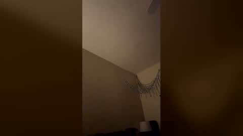 Snapshot of triplevizion chatting on 02.02.26 triplevizion online show from 02.02.26