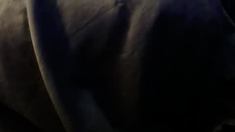 Snapshot of trmdstrong chatting on 12.03.25 Trmdstrong online show from 12.03.25