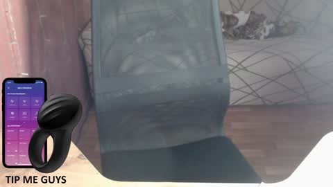 Snapshot of trone41 chatting on 12.18.24 I POST MY FUCKING VIDEOS AND PICS    online show from 12.18.24