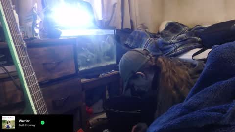 Snapshot of trooper0690 chatting on 02.12.26 trooper0690 online show from 02.12.26